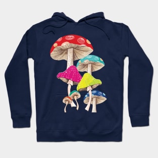 Magical Mushrooms Hoodie